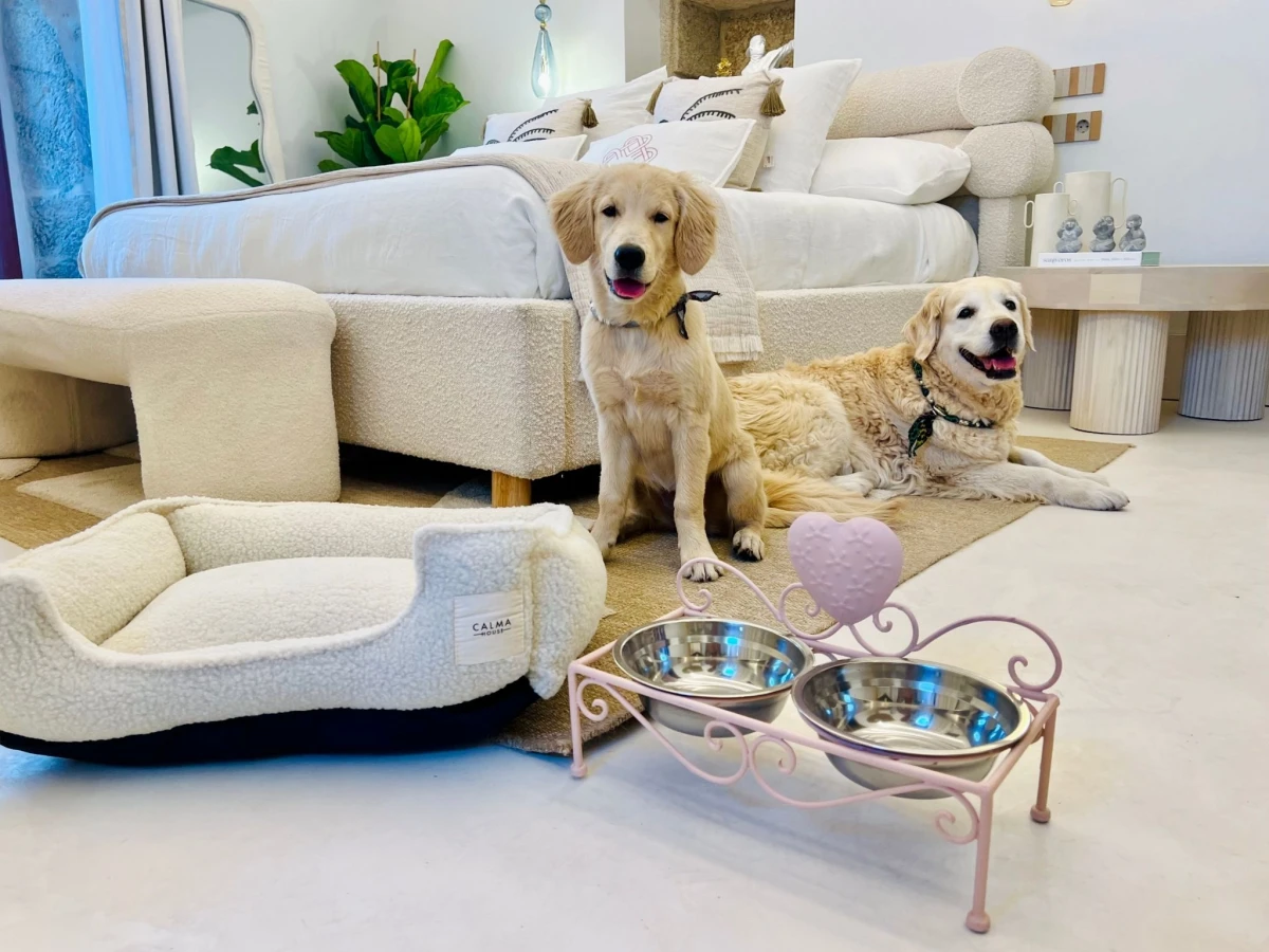 `Imagen 0 de Escapada con Mascota