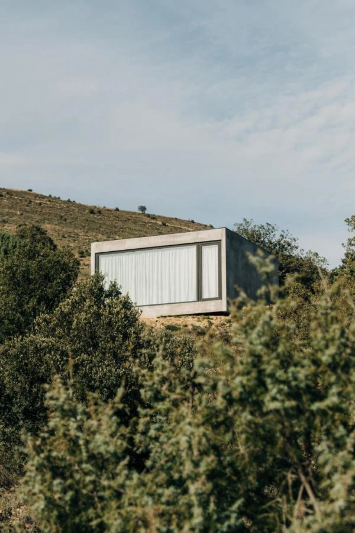 `Imagen 0 de Escapada con Mascota