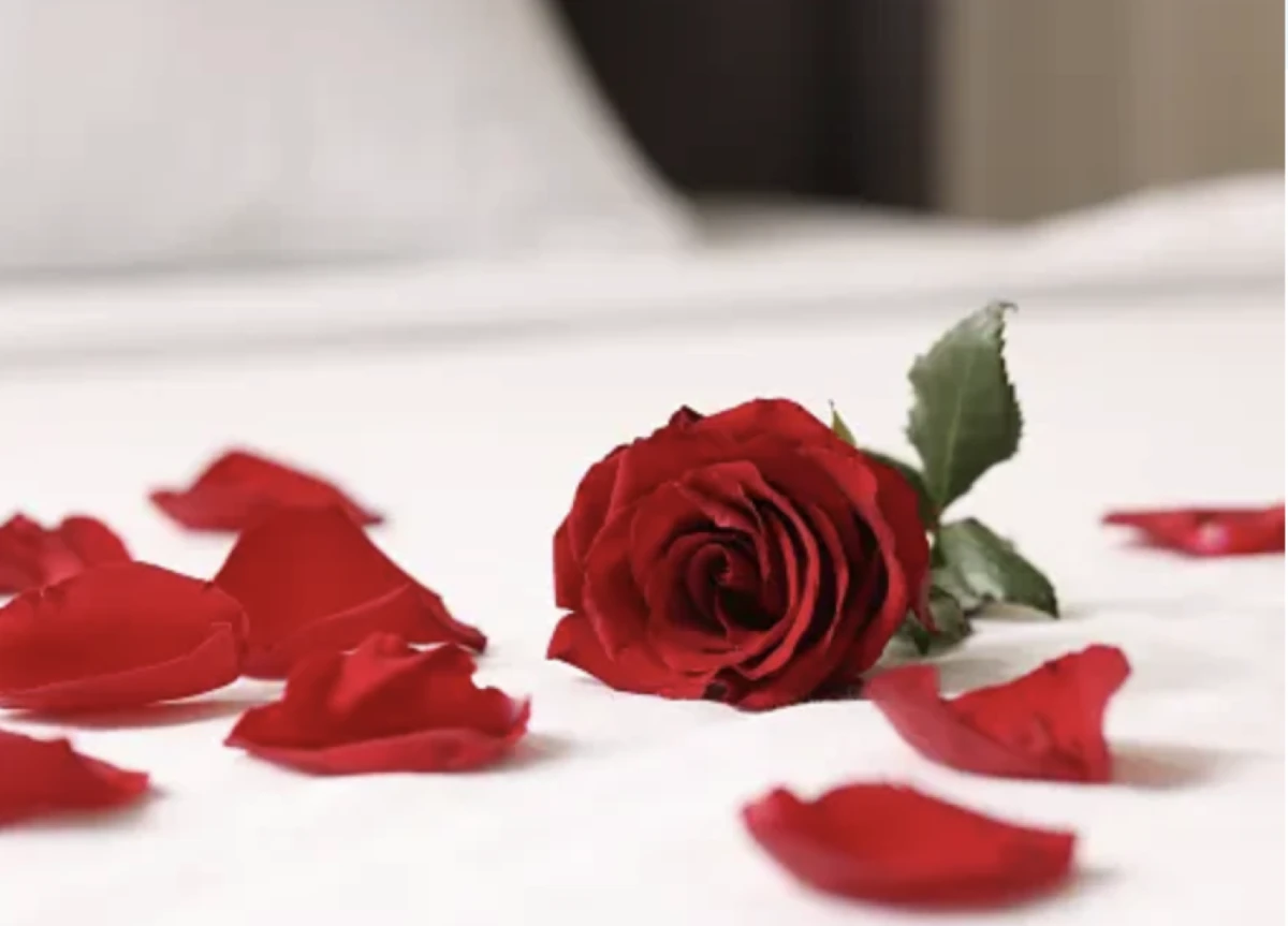 `Imagen 0 de Escapada con SPA y Ambiente Romántico