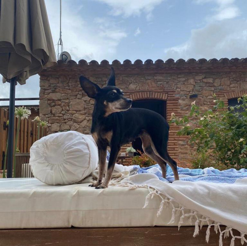 Imagen del pack Escapada en un hermoso hotel rural en el inferior de Tarragona, con mascota