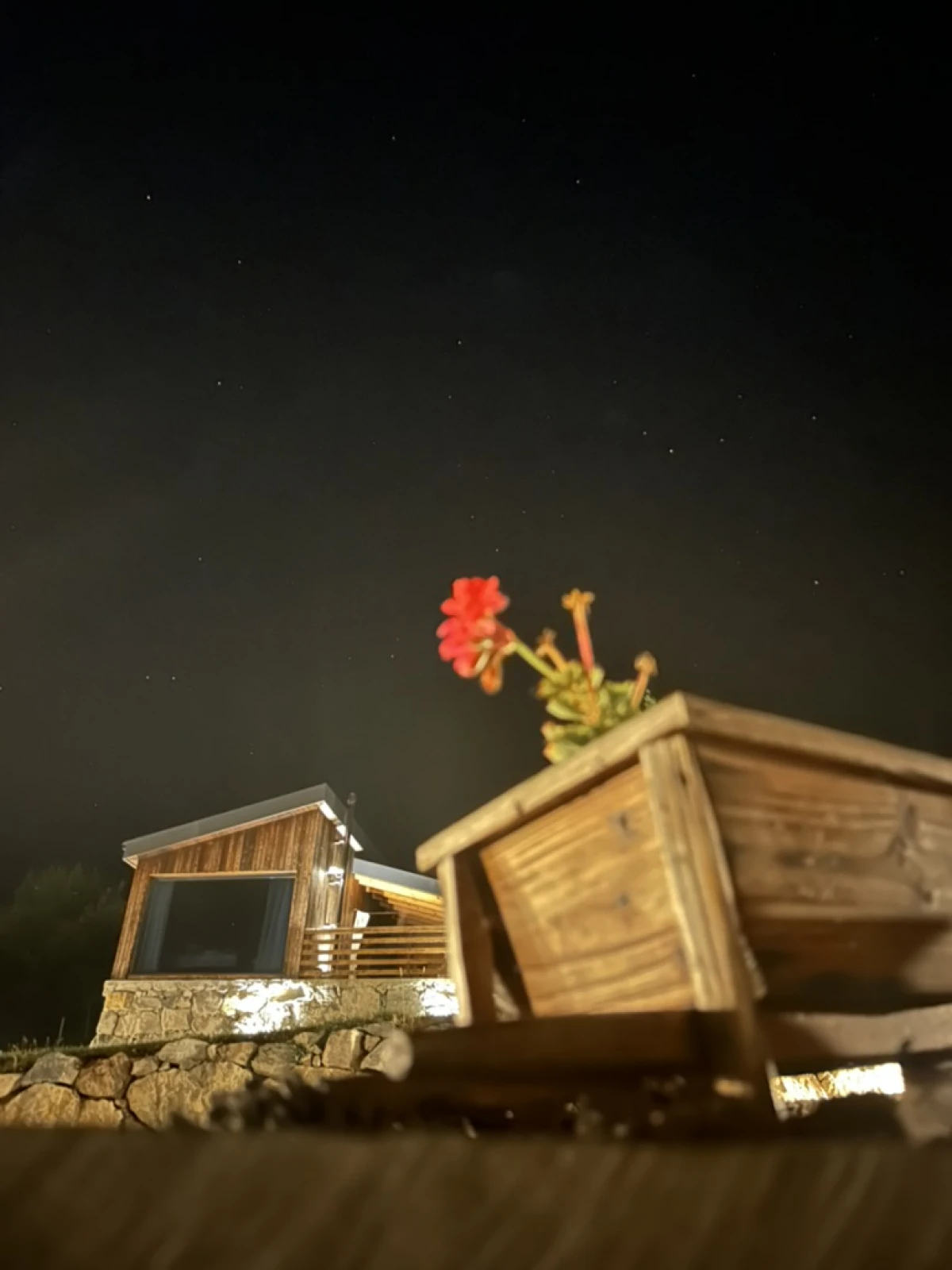 `Imagen 2 de Escapada con Mascota