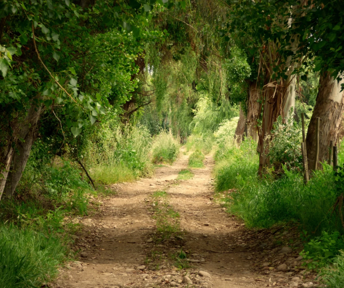 `Imagen 0 de Escapada - Ruta Senderista