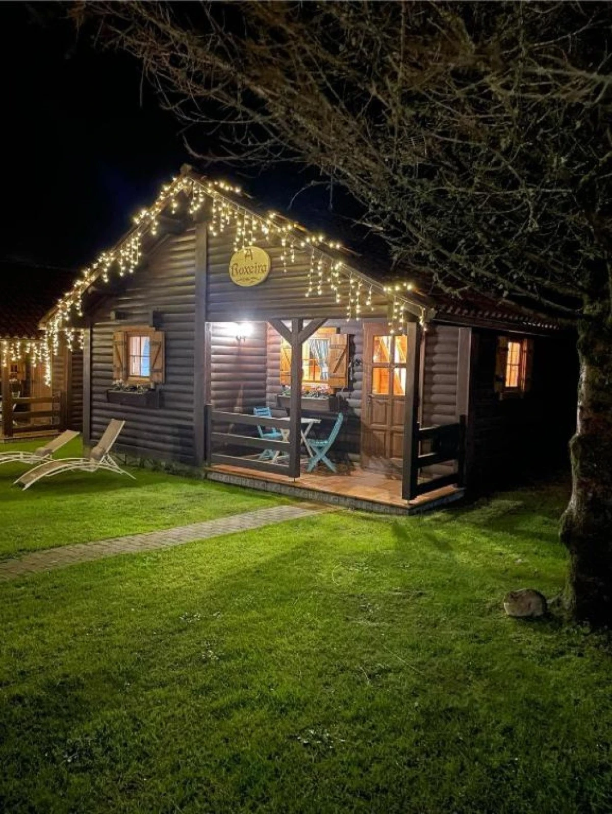 `Imagen 0 de Escapada con Mascota