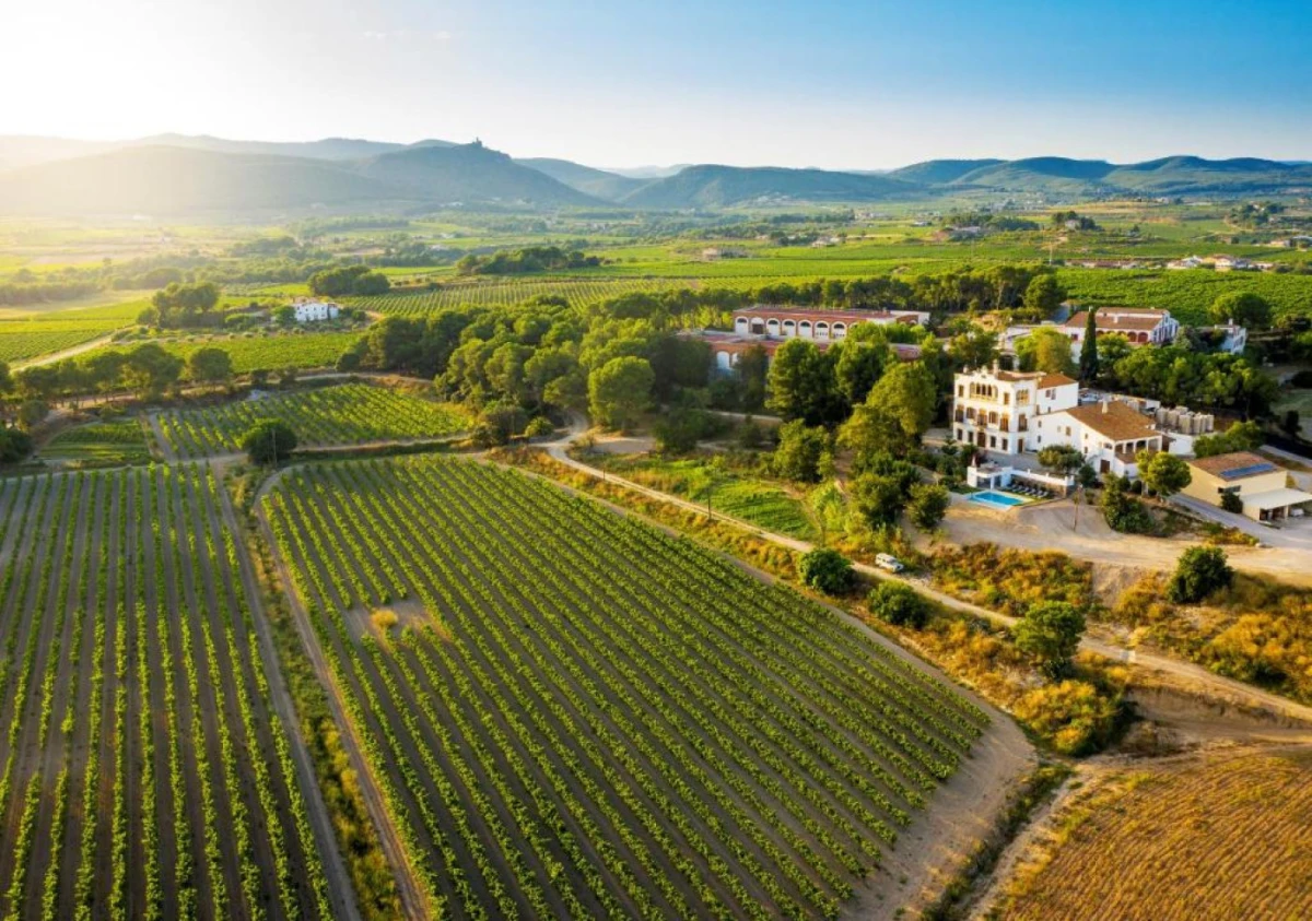 `Imagen 0 de Escapada de Enoturismo