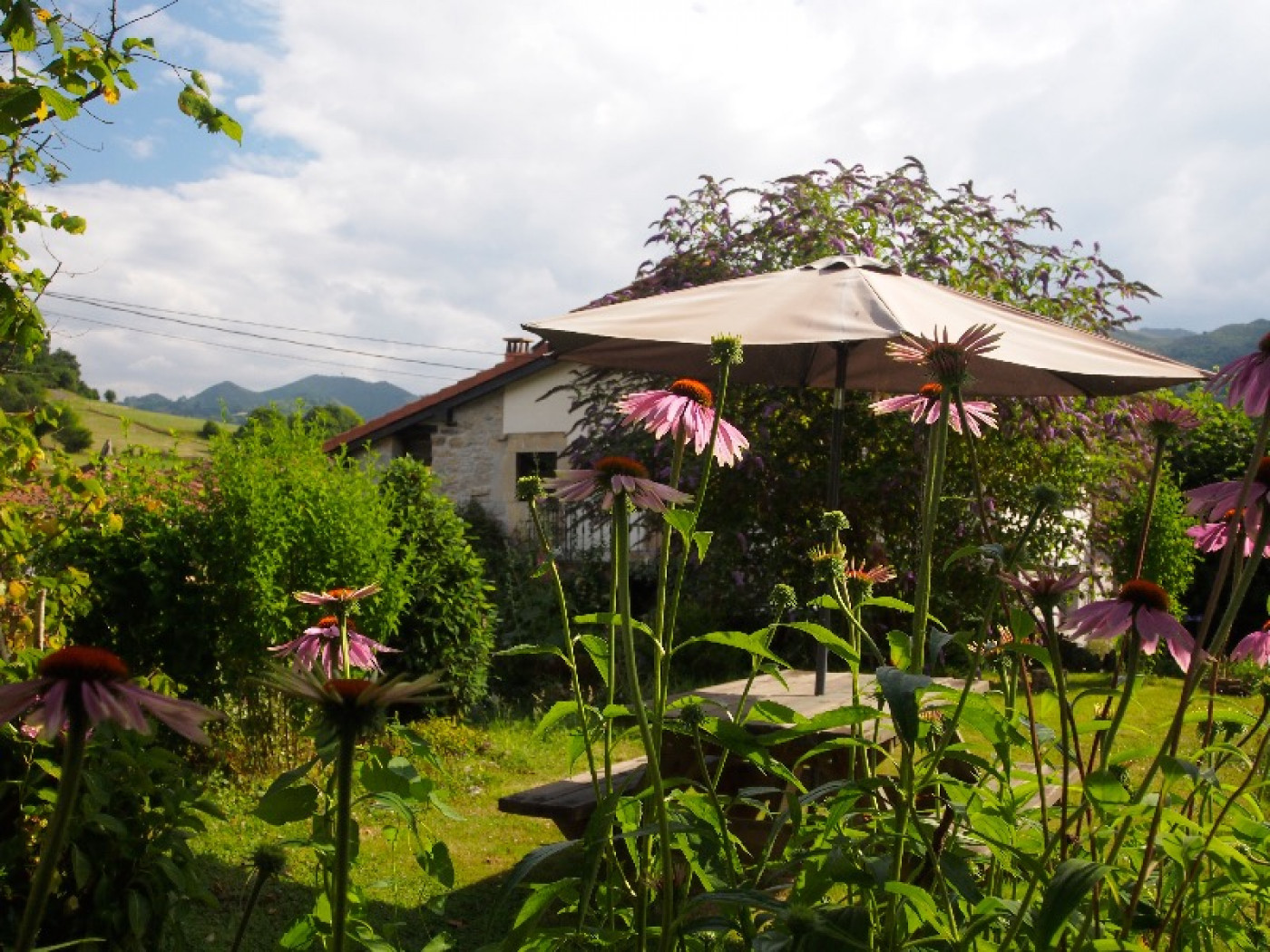 casas rurales con encanto en asturias provincia 15