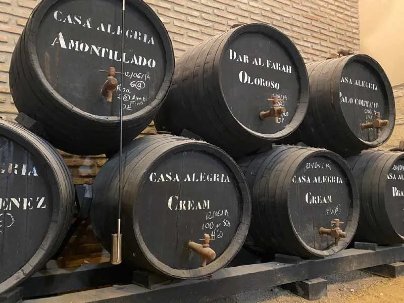 Imagen 26 de Casa Palacio Ánima