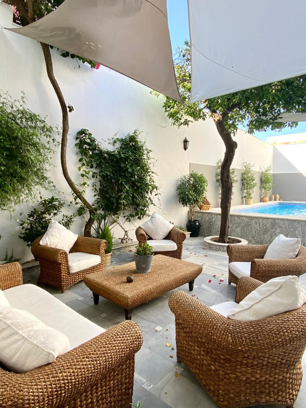 Imagen 2 de Casa Palacio Ánima