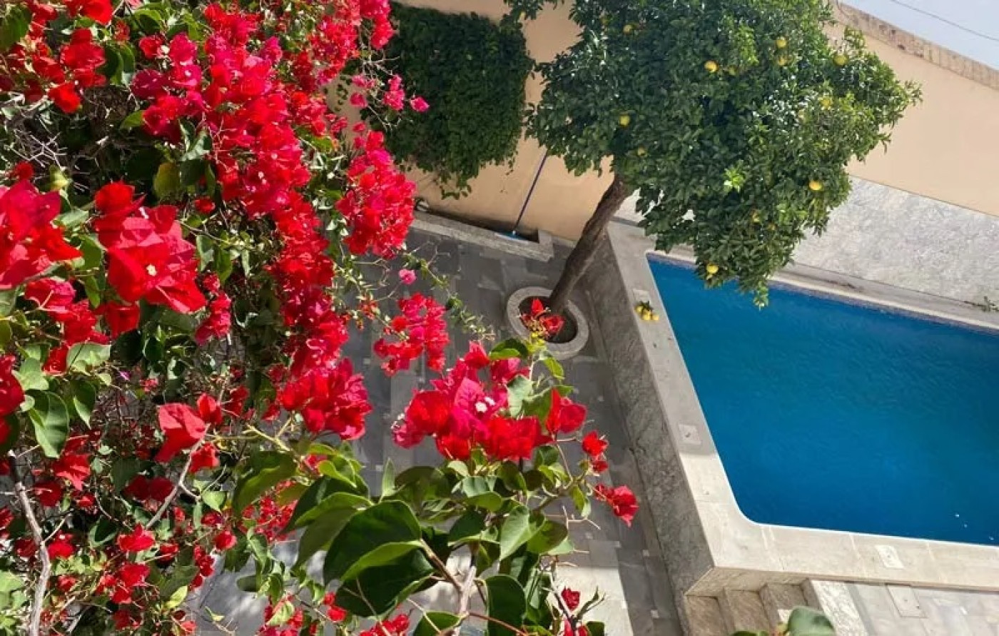 Imagen 24 de Casa Palacio Ánima