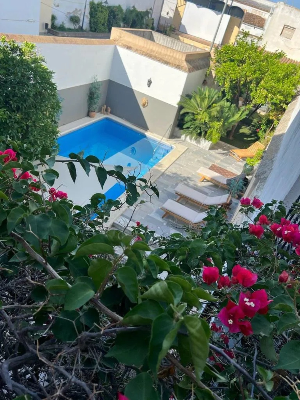 Imagen 25 de Casa Palacio Ánima