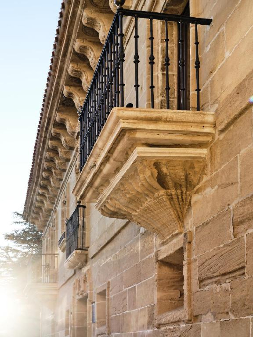 Imagen 40 de Palacio Samaniego