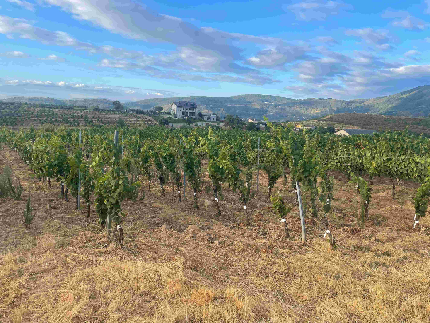 Imagen 15 de Hotel Rural Finca Esencial