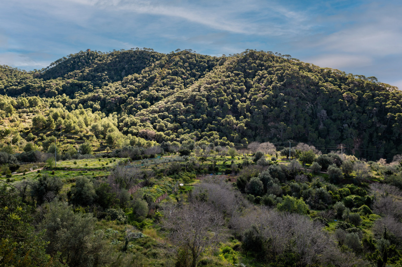 `Imagen 44 de Escapada con desayuno