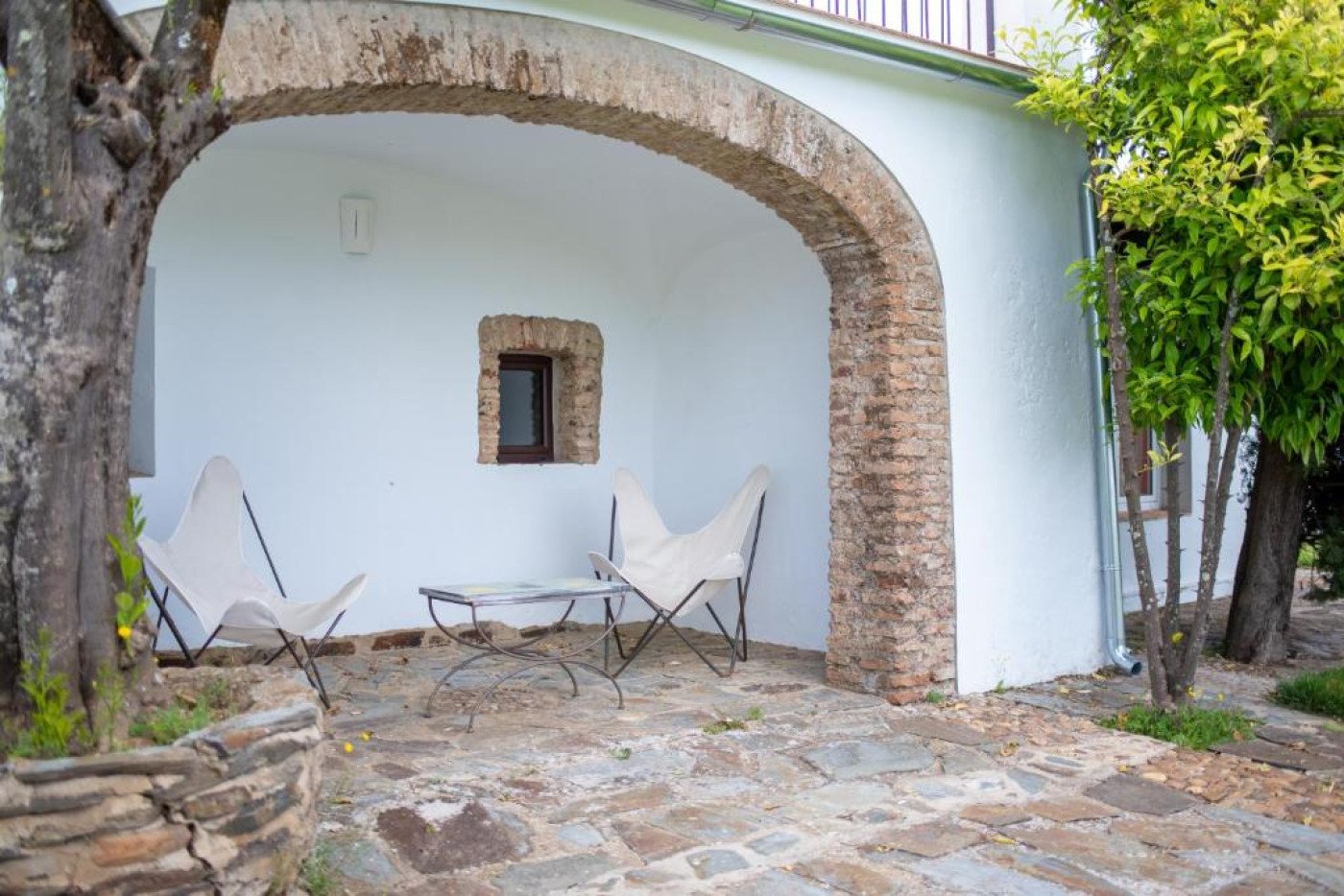 Imagen 5 de Finca El Azahar