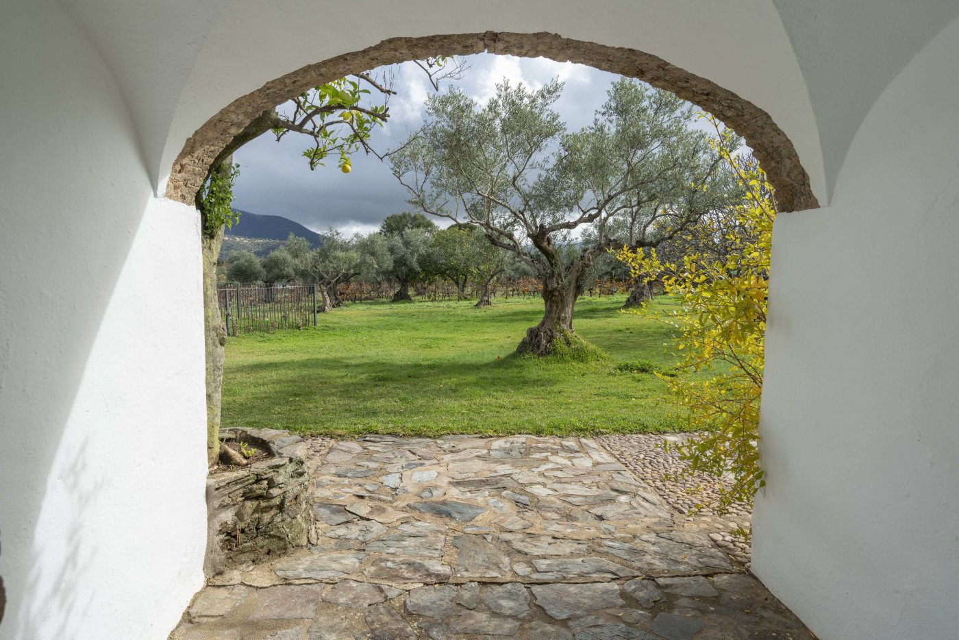 Imagen 27 de Finca El Azahar