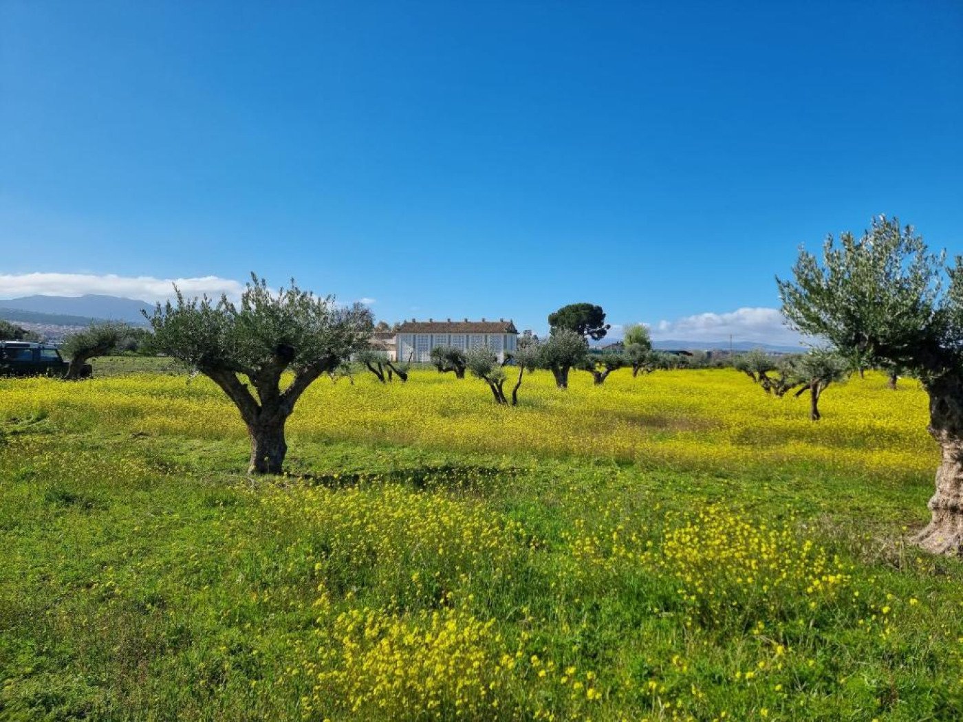 Imagen 37 de Cortijo de la Seda