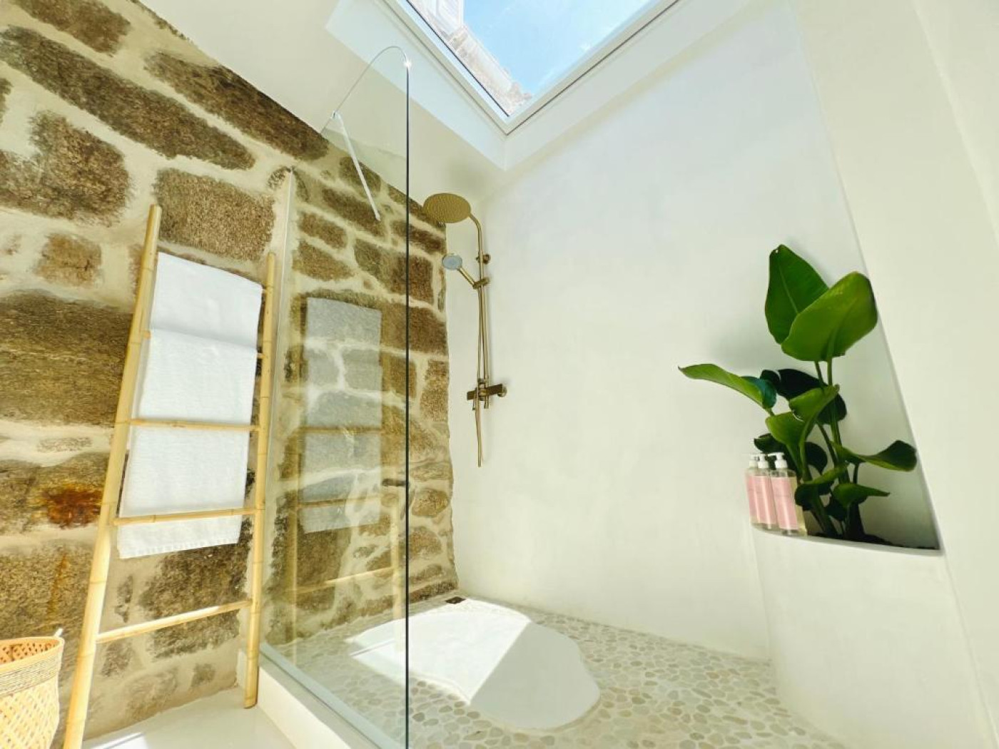 Imagen 16 de ALDEA (C)ALMA