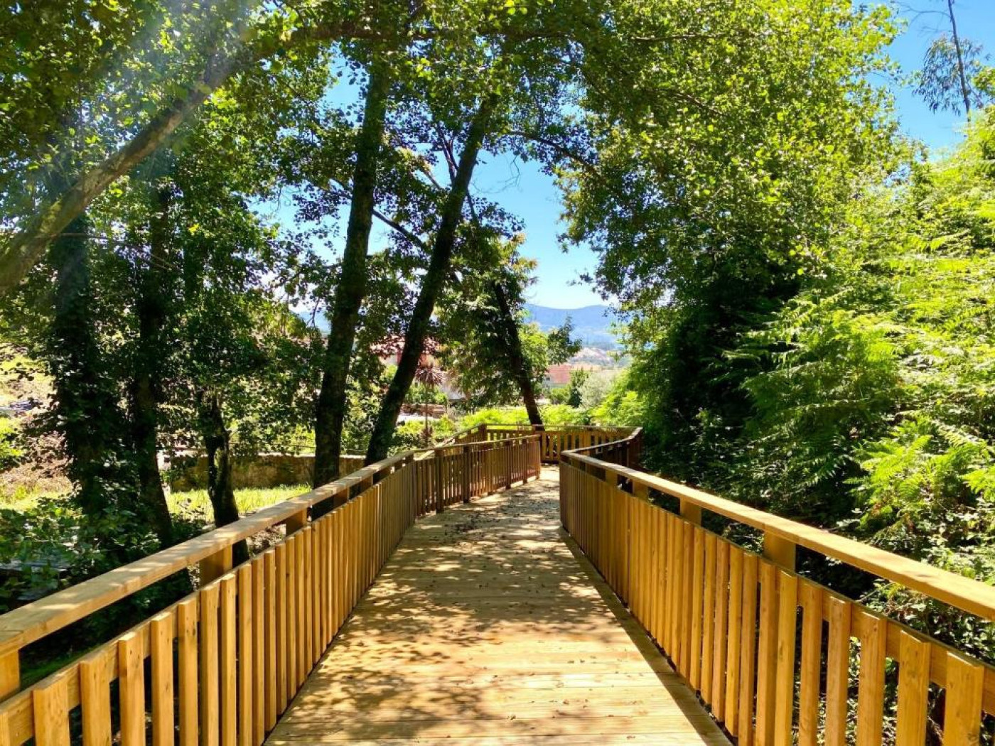 Imagen 38 de ALDEA (C)ALMA