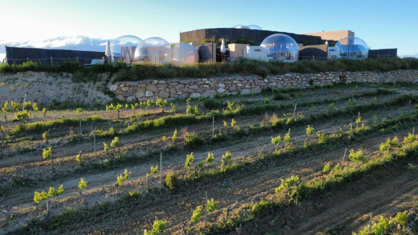 Imagen 6 de Wine Bubble Experience