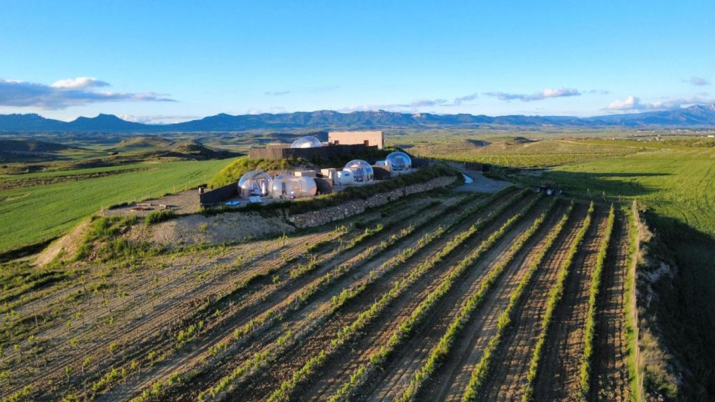 Imagen 4 de Wine Bubble Experience