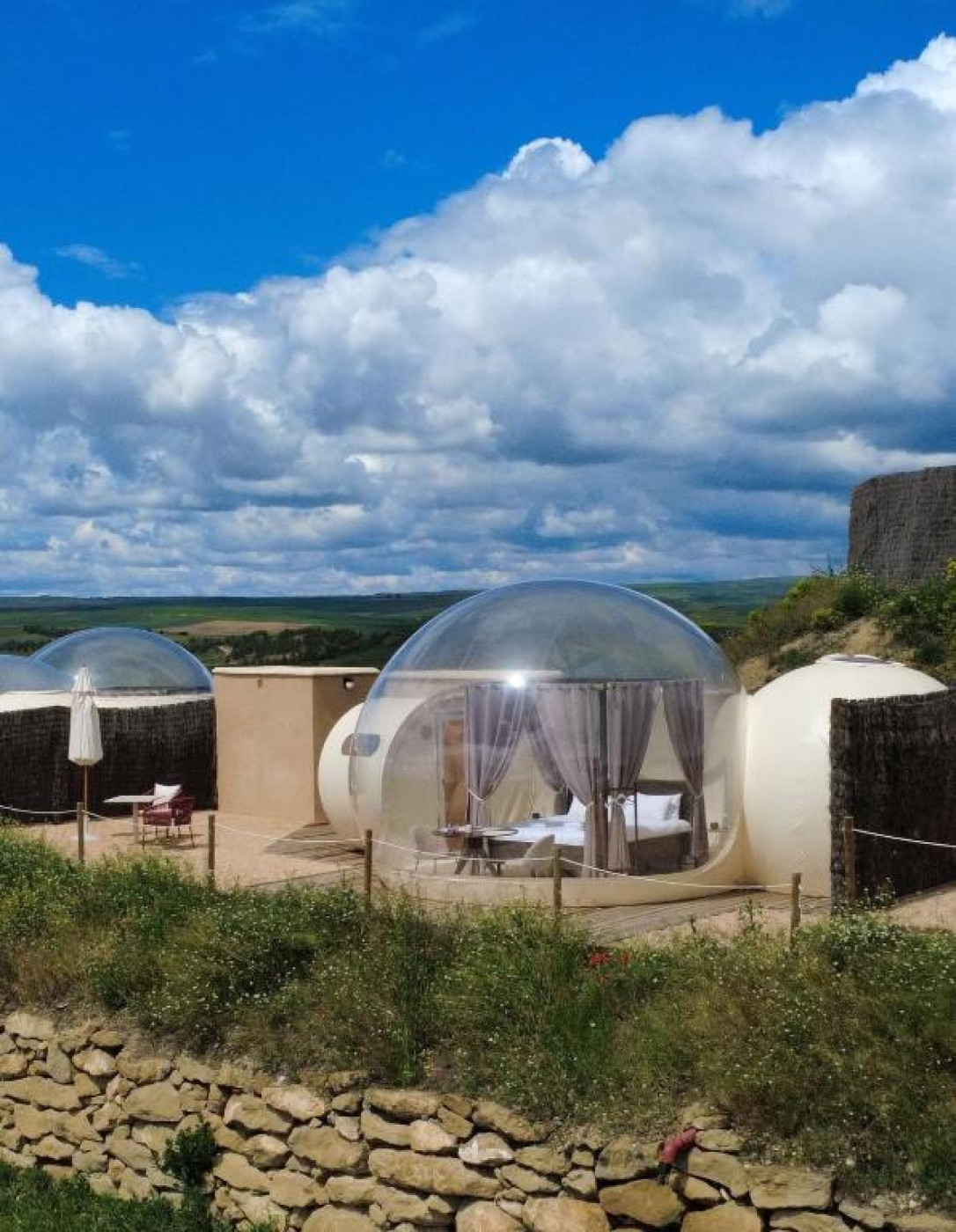 Imagen 5 de Wine Bubble Experience