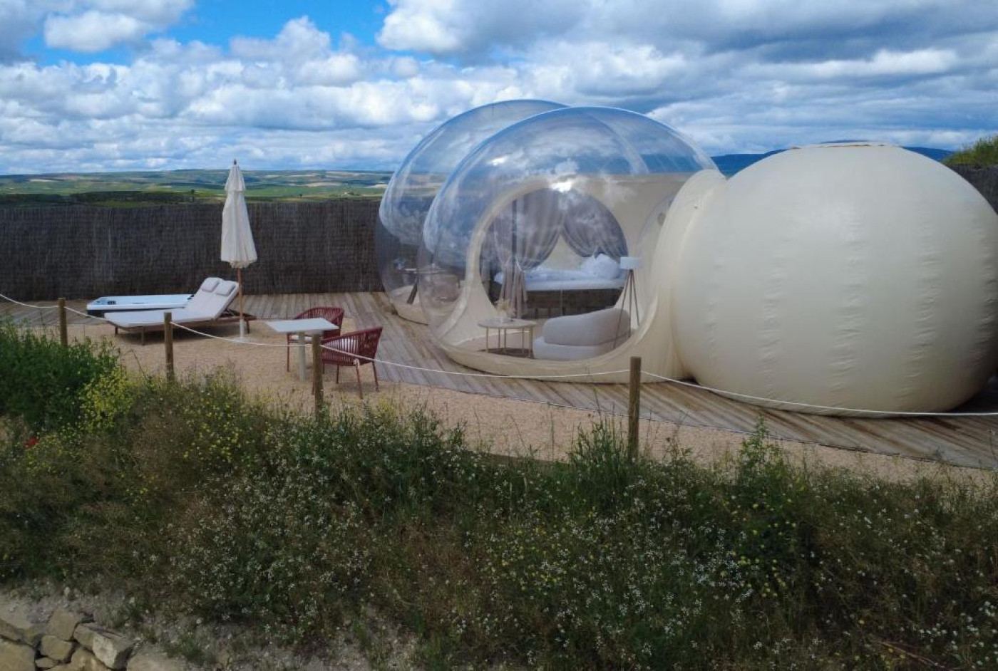 Imagen 20 de Wine Bubble Experience