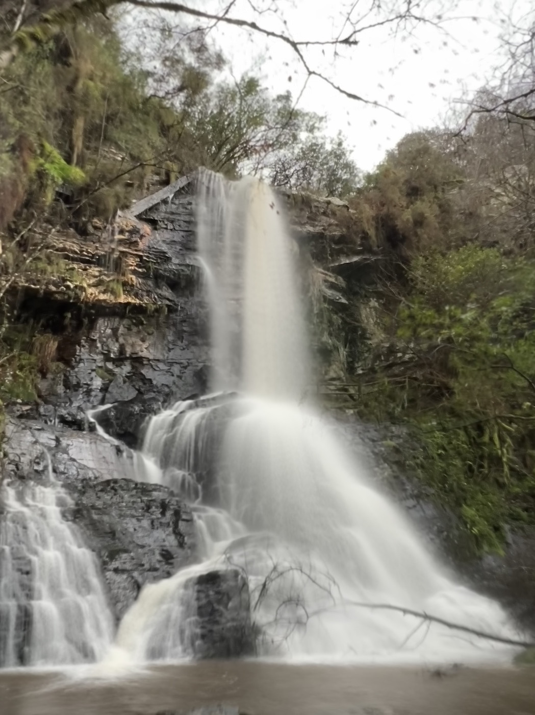 Imagen 32 de Casal de Pelaio