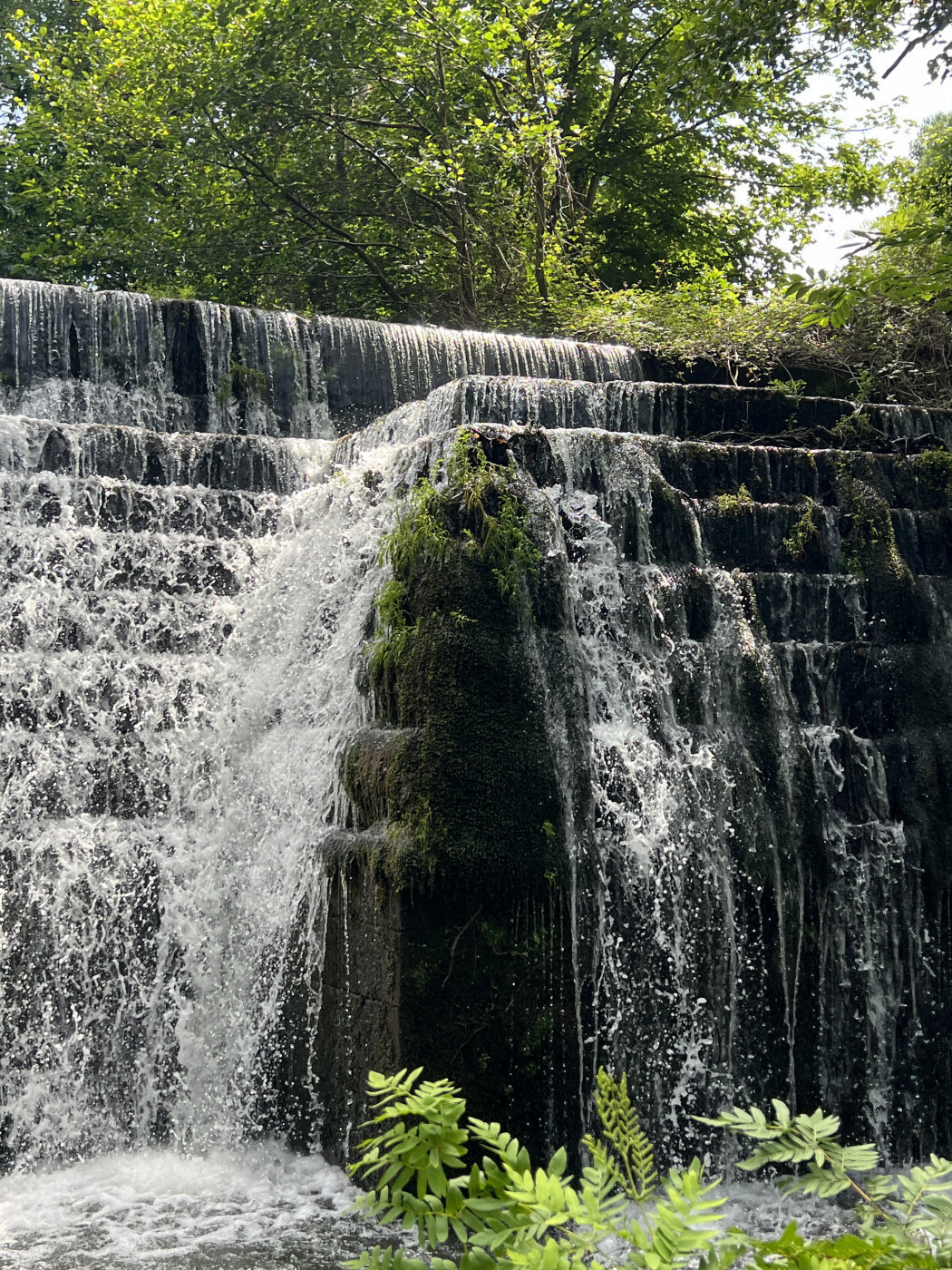 Imagen 24 de Casal de Pelaio