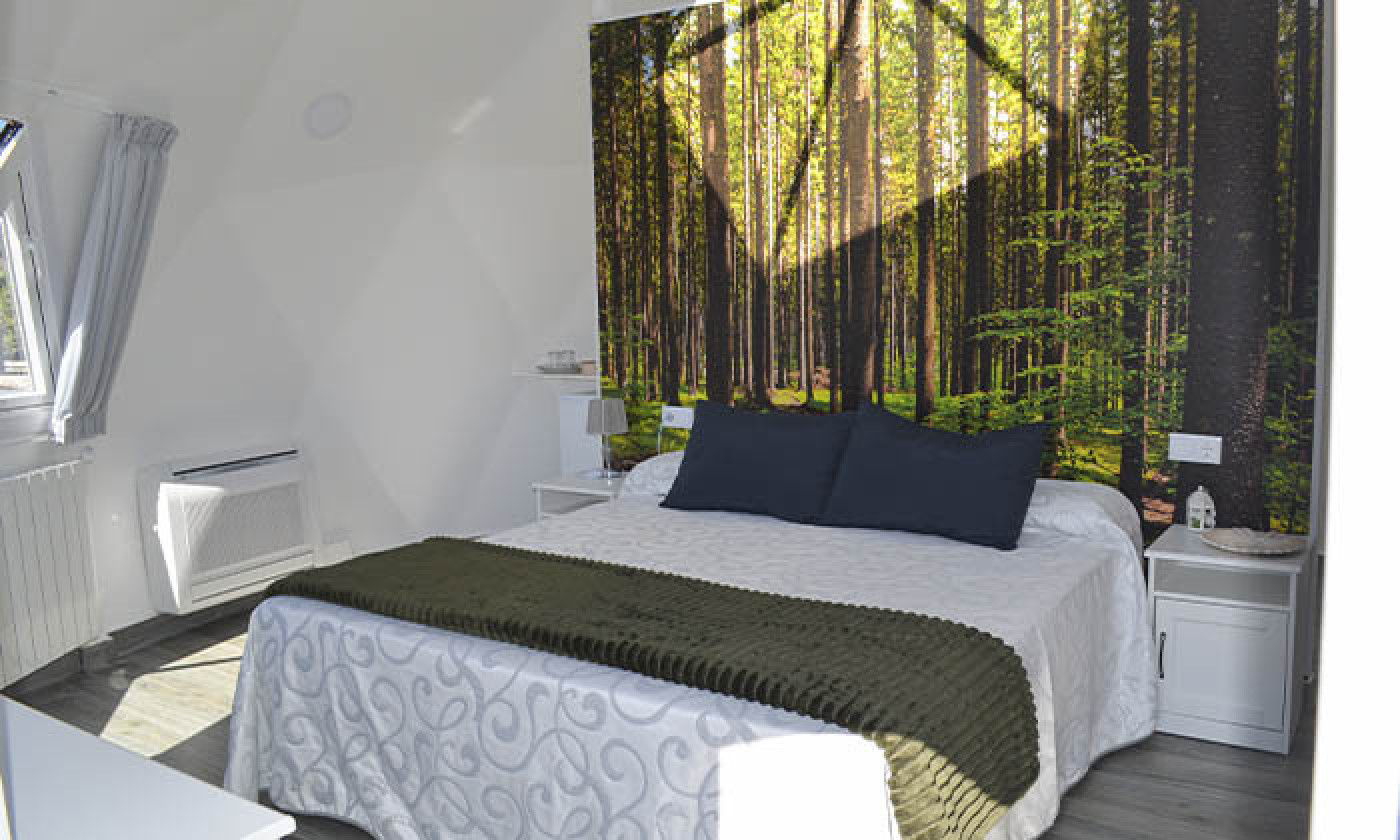 Imagen 5 de Nyxia dome