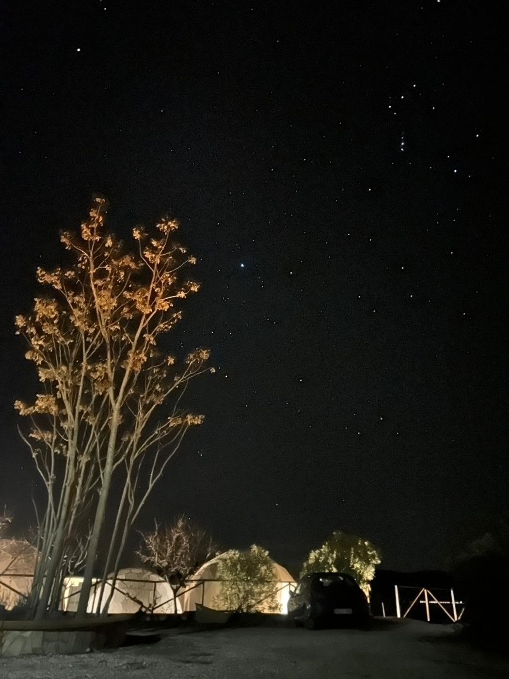 Imagen 22 de Nyxia dome