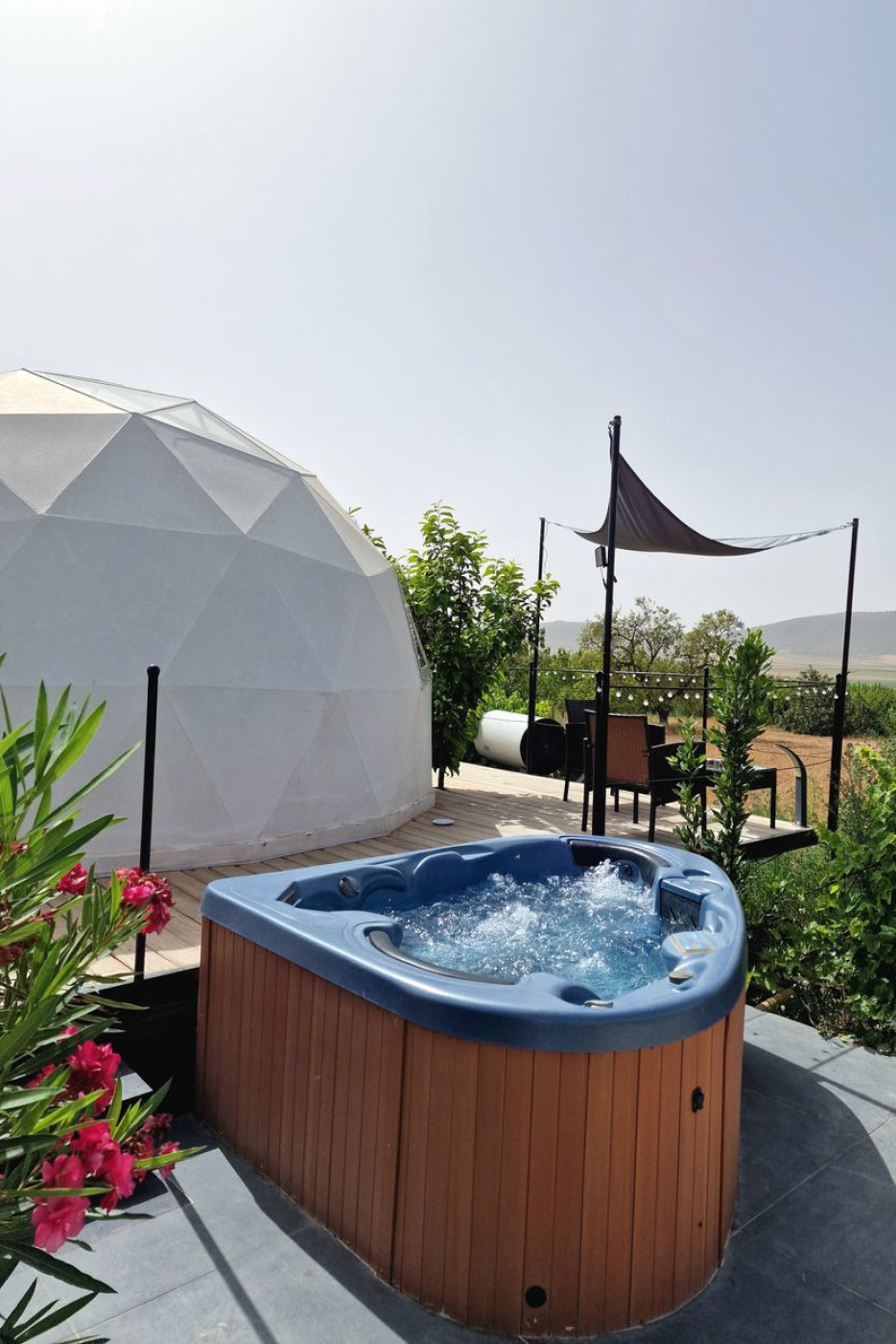 Imagen 18 de Nyxia dome