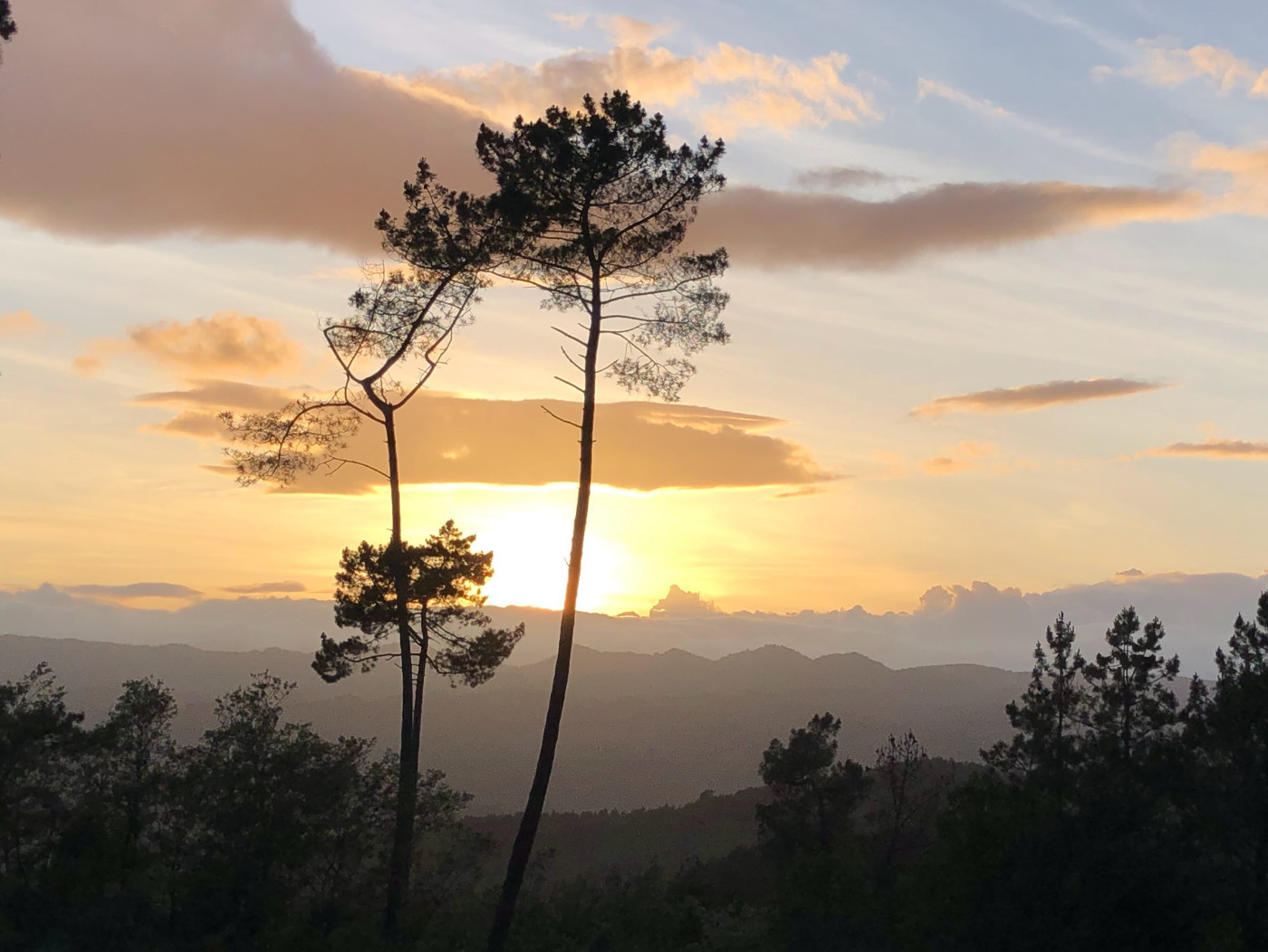 Imagen 17 de O RINCÓN DOS SENTIDOS