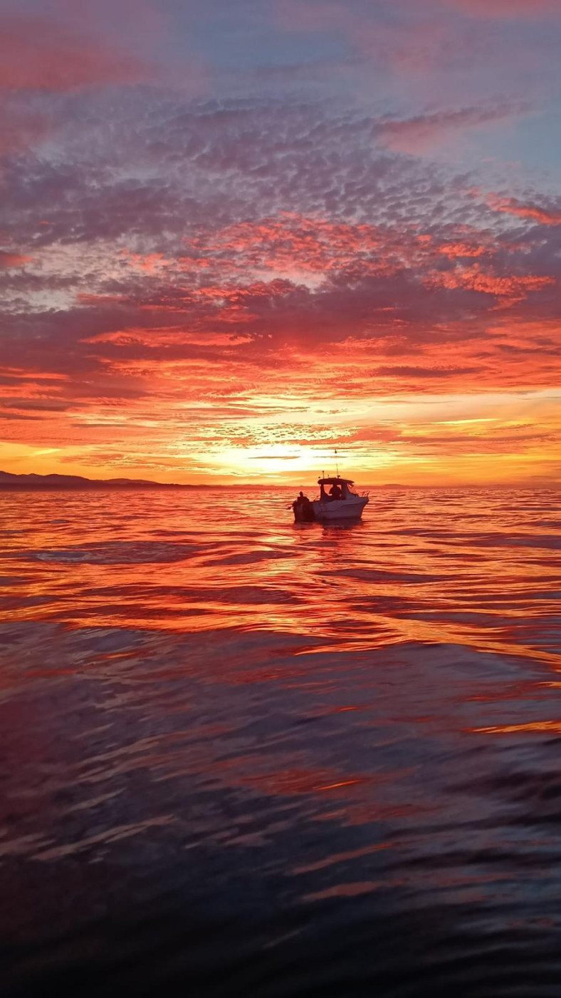Imagen 37 de Pleamar
