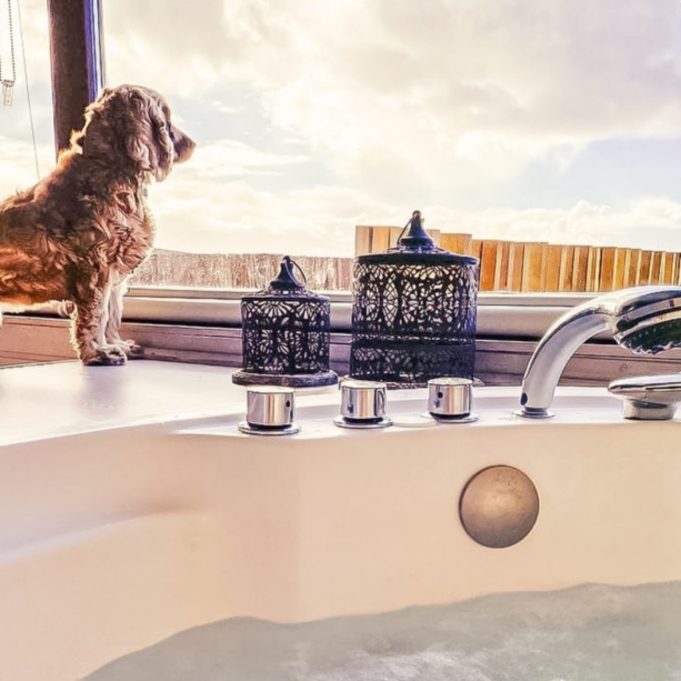 Imagen del bono regalo VIAJEROS PELUDOS