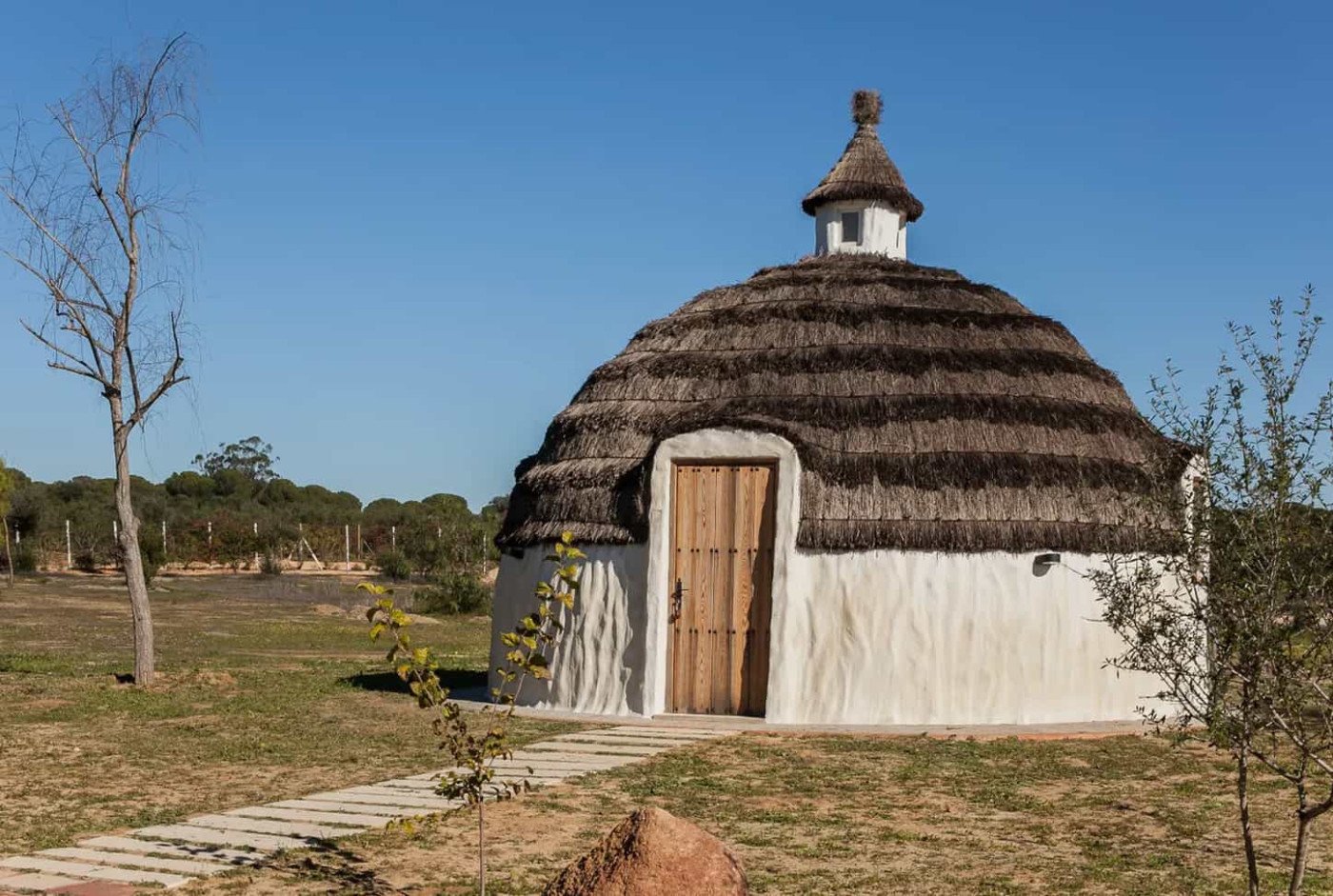 Imagen de la habitación Iglú