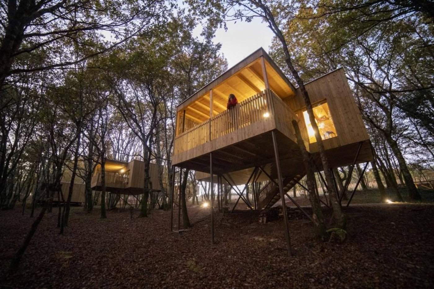Imagen de la habitación Cabaña