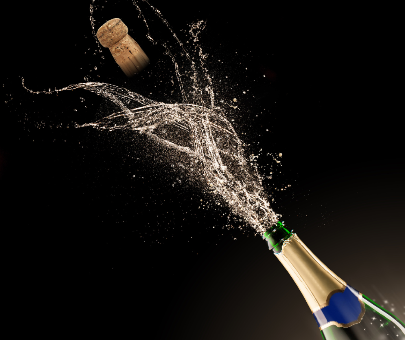 Imagen del servicio Champagne
