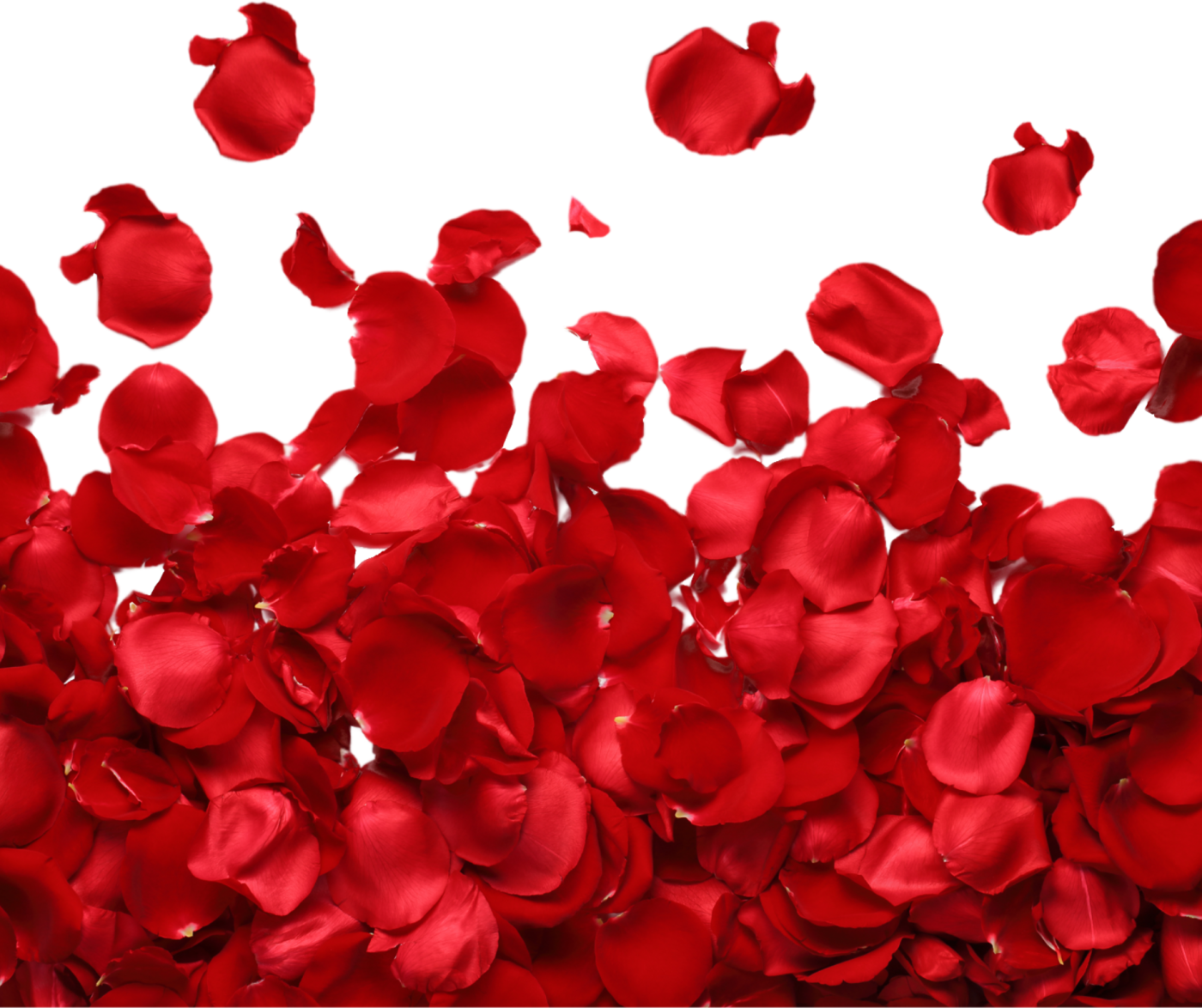 Imagen del servicio Decoración Romántica