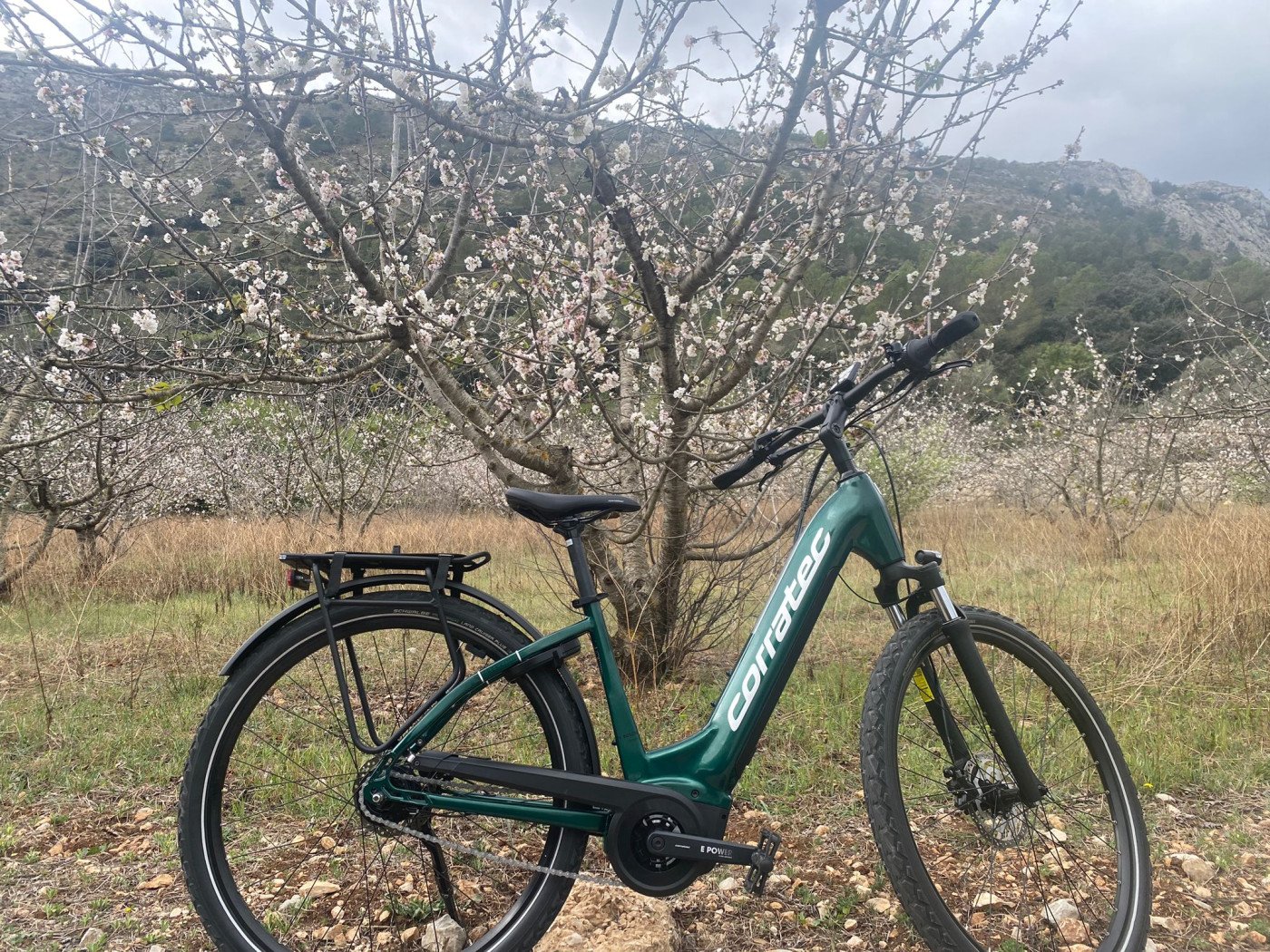Imagen del servicio Bicicleta