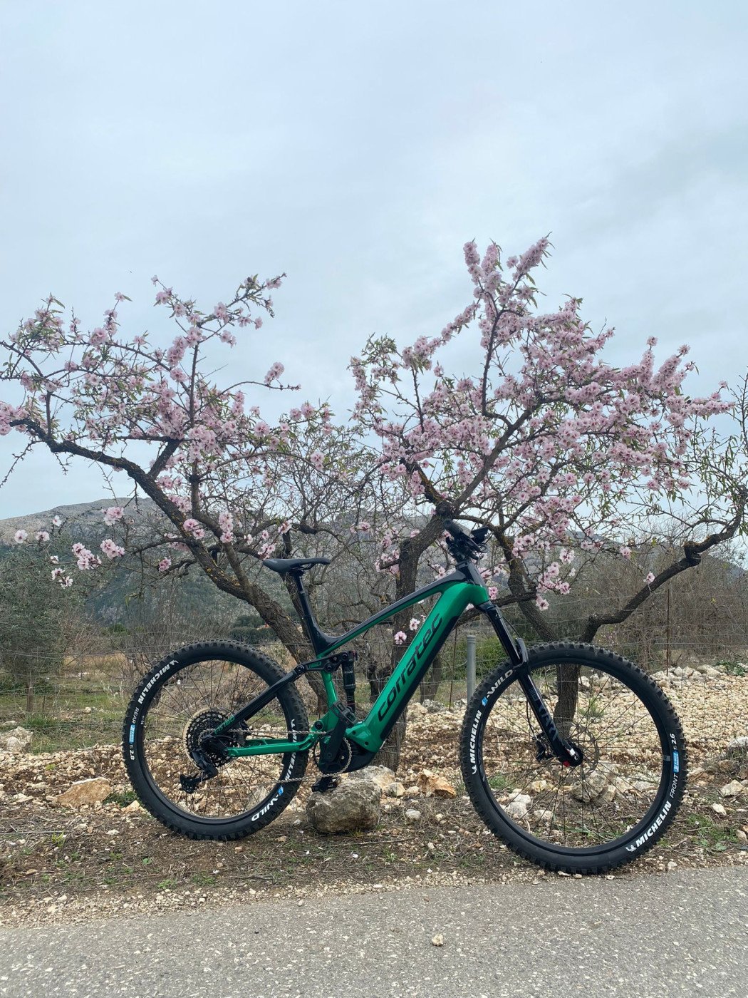 Imagen del servicio Bicicleta