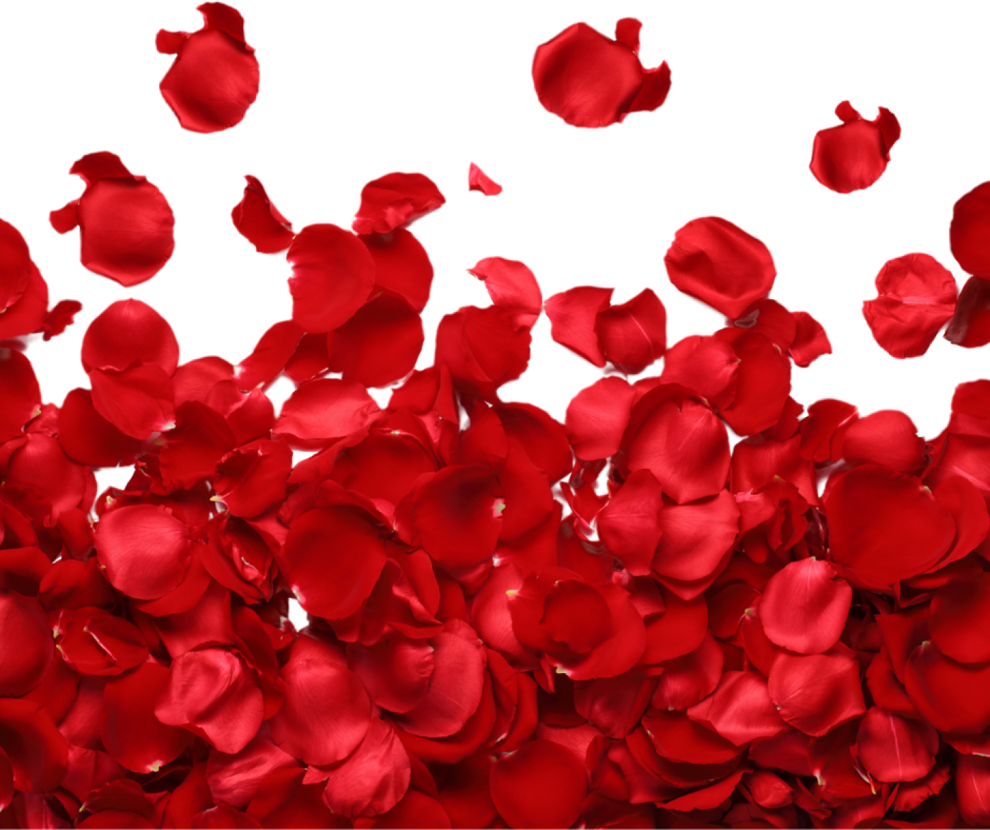 Imagen del servicio Paquete romántico