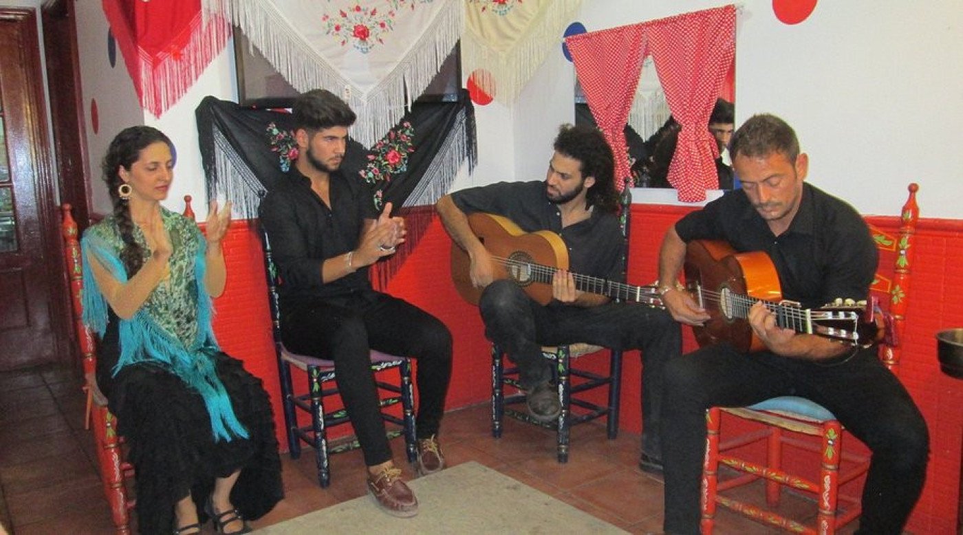 Imagen de flamenco