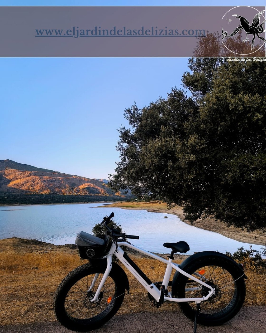 Imagen del servicio Bicicleta