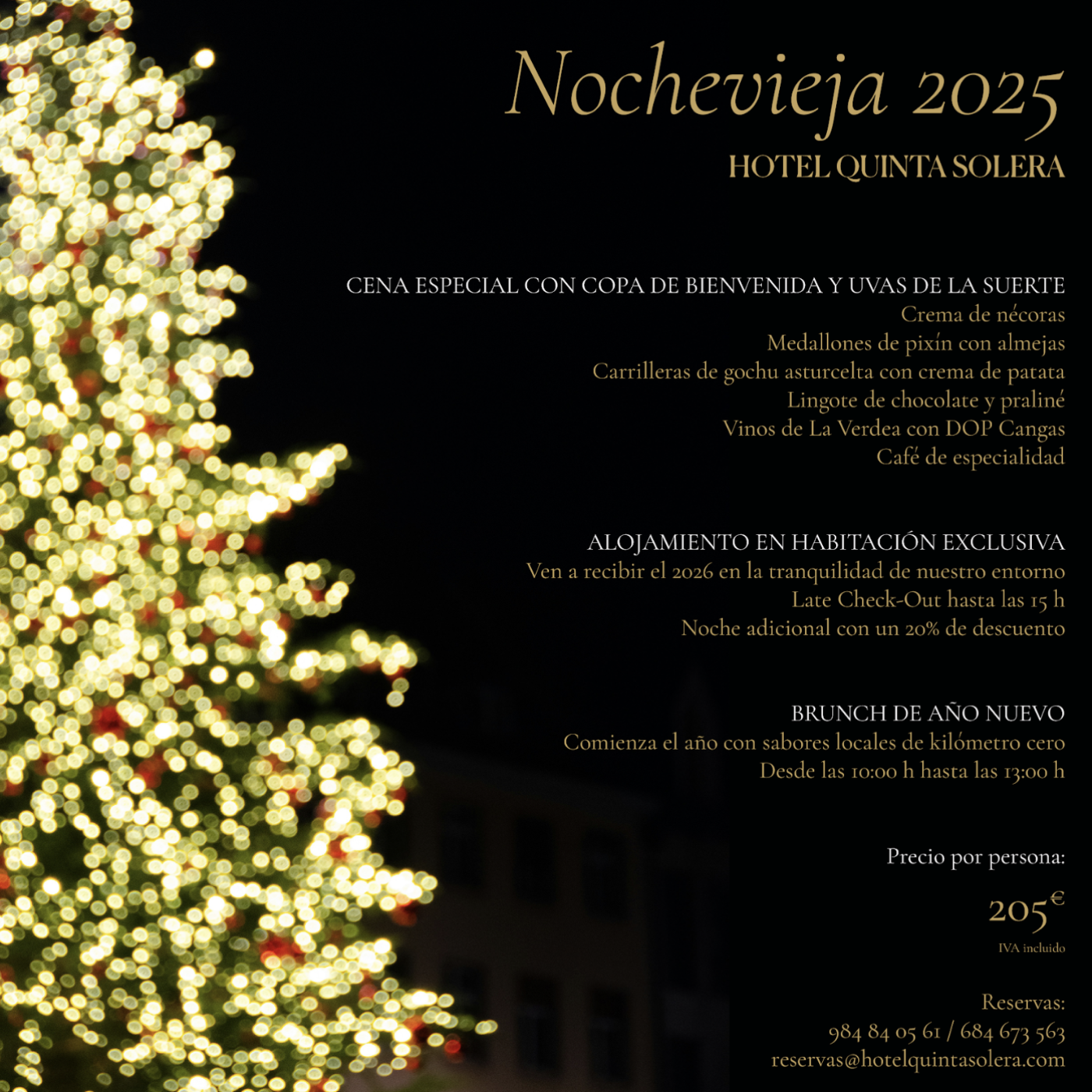 Imagen del servicio Nochevieja