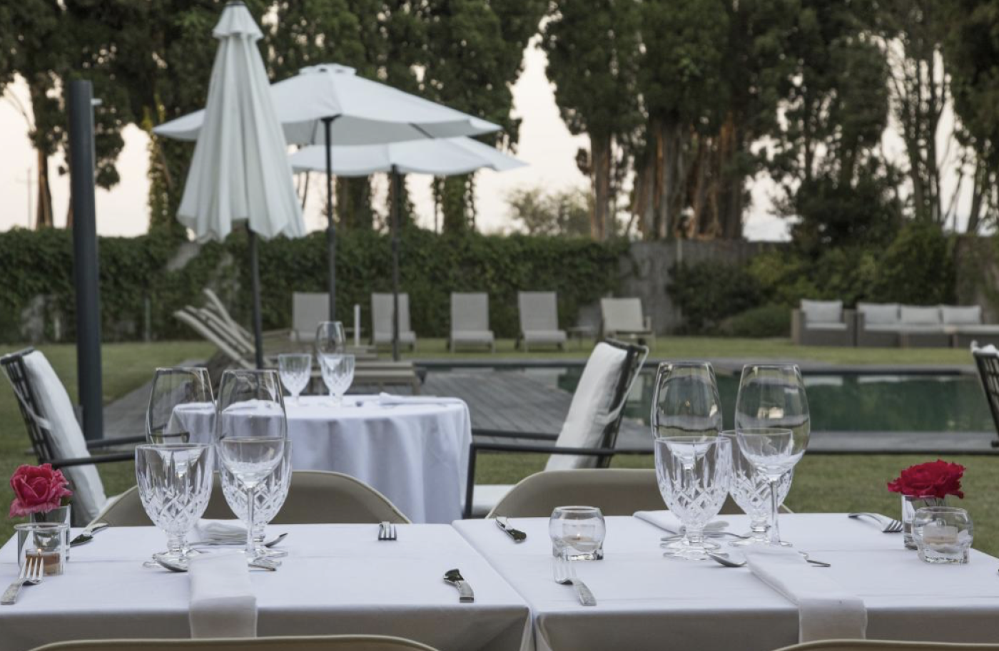 Imagen de Menú Tapas