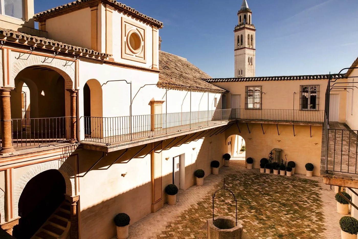 Imagen de Experiencia almazara & apicultura