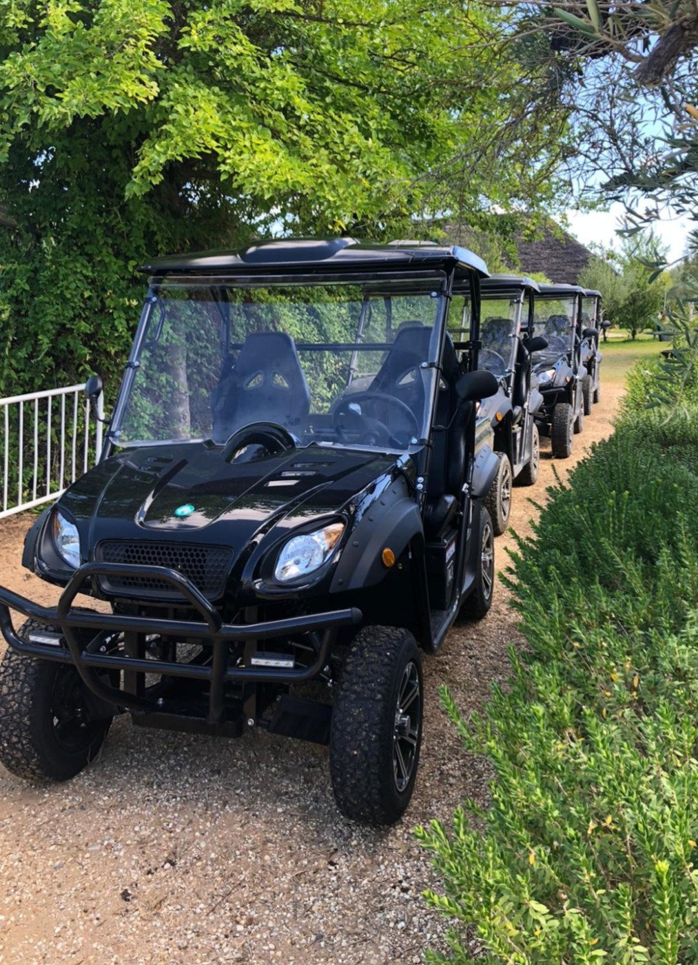 Imagen del servicio Buggy eléctrico